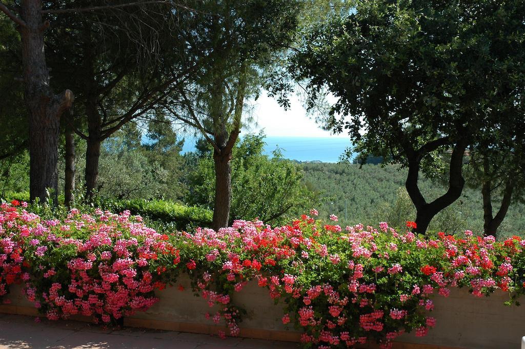 Colle Moro - B&B Villa Maria Citta Sant'Angelo Dış mekan fotoğraf